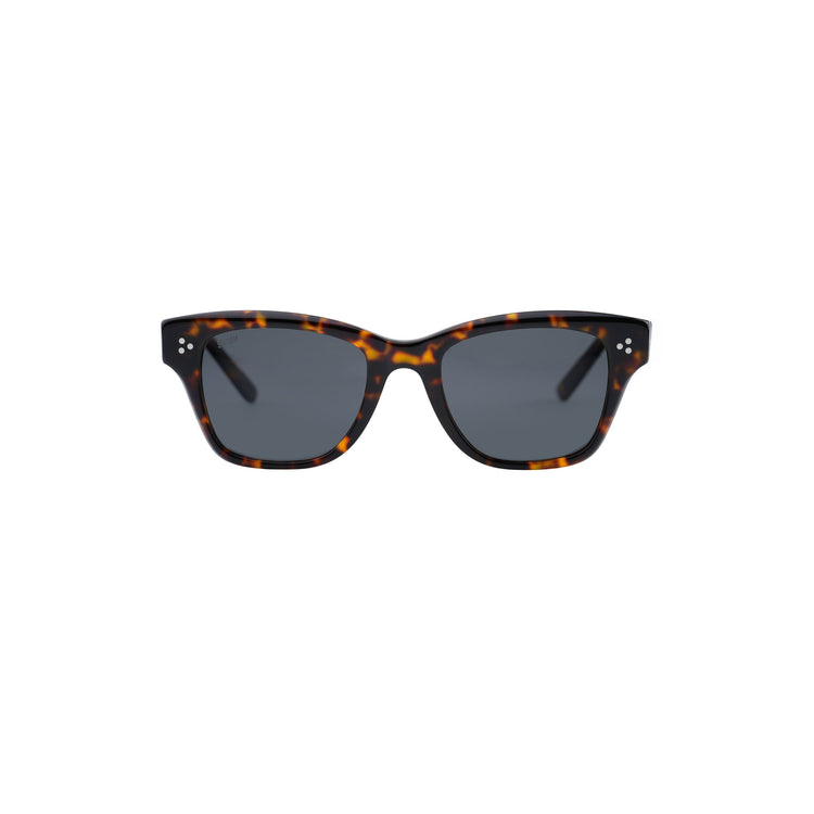 JOE - TORTOISE / SMOKE