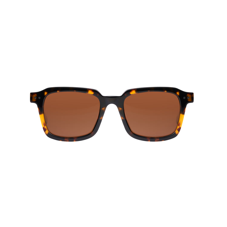 SPECTRUM - TORTOISE / BROWN